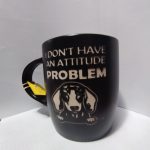 I don't have an attitude problem