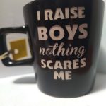 I Raise Boys Nothing scares me