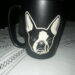 BOSTON TERRIER